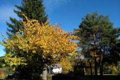IMG_20171014_144018